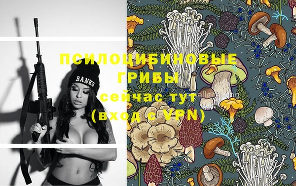 гидропоника Алексеевка
