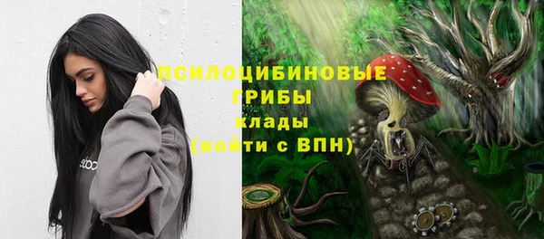 ECSTASY Алексин