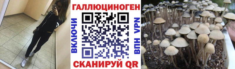 Псилоцибиновые грибы мухоморы Бердск