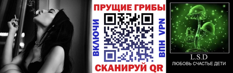 Псилоцибиновые грибы MAGIC MUSHROOMS  где купить наркоту  ОМГ ОМГ зеркало  Бердск 