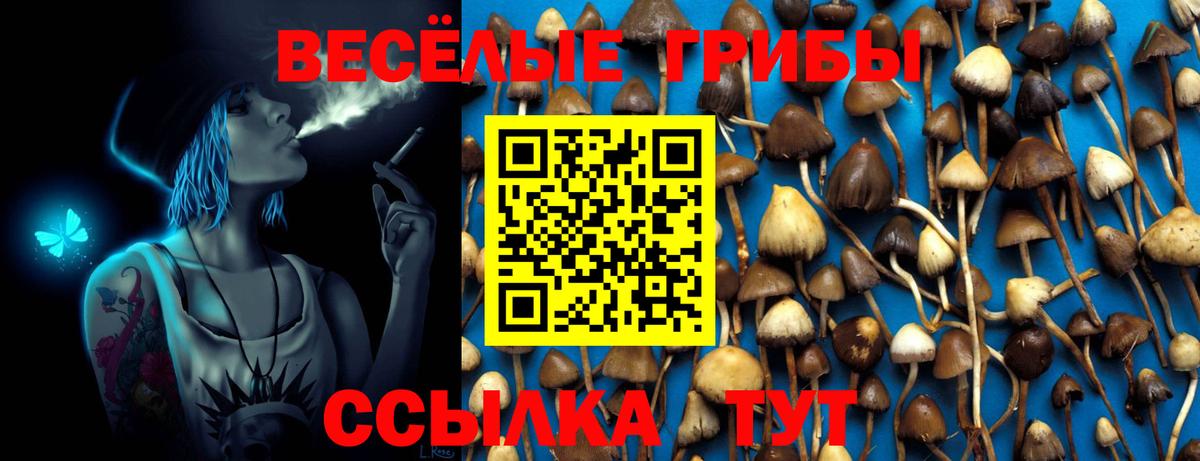 Галлюциногенные грибы GOLDEN TEACHER  Вход с VPN  Псилоцибиновые грибы Magic Shrooms  Бердск 